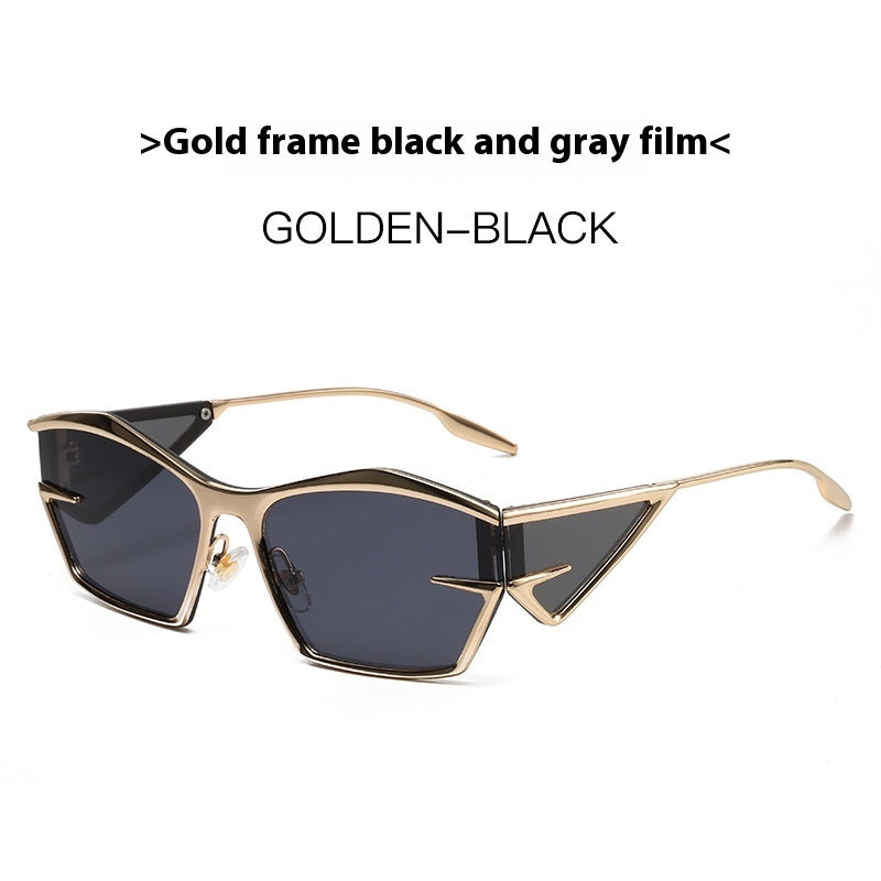 Contemporary fashion sunglasses